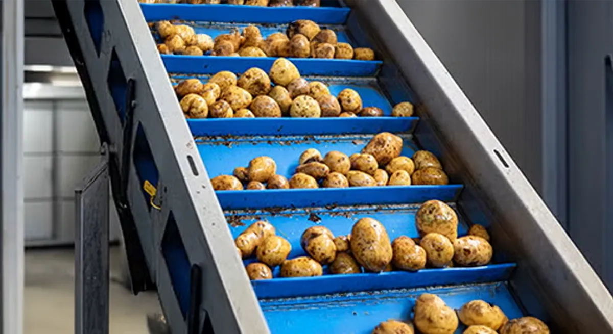 Gıda Üretim Tesisleri İçin Endüstriyel Temizlik Ekipmanları